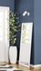 Бра Candellux 91-01603 Colly