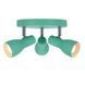 Спот Candellux 98-50601 PICARDO